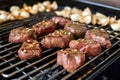steak tips and garlic cloves on metallic grill grates