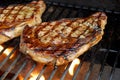 Steaks on the Grill Royalty Free Stock Photo