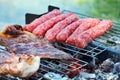 Steaks and kebab on barbecue close up Royalty Free Stock Photo