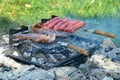 Steaks and kebab on barbecue Royalty Free Stock Photo