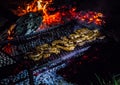 Steaks on an open campe fire in the wilderness of Botswana