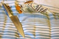 Stealing money in American dollars hidden at home in bed. The thief found the money stashed in the pillow