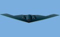 Stealth Bomber Royalty Free Stock Photo