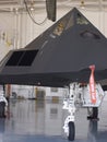 Stealth Fighter