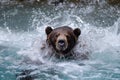 Stealthy Bear diving river. Generate Ai