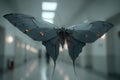 Stealthy Butterfly Drone Advanced Espionage Technology Unveiled Royalty Free Stock Photo