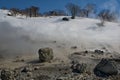 Steam of the Boiling River Royalty Free Stock Photo