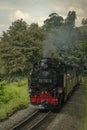 Steam engine train with passengers in summer day near Neudorf Germany 06 14 2023