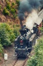 Steam engine on the trip Royalty Free Stock Photo