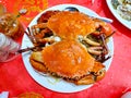 Steam fresh sea crab with vermicelli Royalty Free Stock Photo