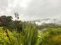 Geothermal geyser in New Zealand Royalty Free Stock Photo