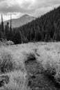 Steam: Herman Gulch Trail, Colorado