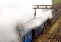 Steam locomotive Albatros in motion