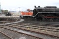 Steam locomotive and diesel locomotive in Umekoji steam locomotive shed, Kyoto