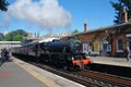 Steam locomotive excursion, St. Leonards