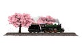 Steam locomotive & flowers sakura Royalty Free Stock Photo