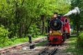 Steam locomotive going through the park Royalty Free Stock Photo