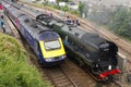 Steam Locomotive and 125 diesel