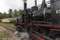 Steam locomotive of Rhine Tourist Railway in spring