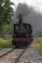 Steam locomotive of Rhine Tourist Railway in spring