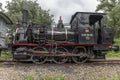 Steam locomotive of Rhine Tourist Railway in spring