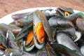 Steam mussels Royalty Free Stock Photo