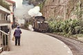 Steam narrow-gauge locomotive.