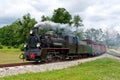 Steam narrow-gauge railway locomotive