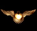 Steam punk style heart and wings