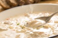 Warm clam chowder Royalty Free Stock Photo