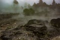 Steam rising from geothermal vents in Rotorua, NZ