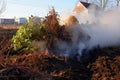 steam rising from a hot compost pile