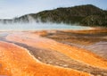 Steam rising from various geysers in the Upper Geyser Basin in Yellowstone National Park Royalty Free Stock Photo
