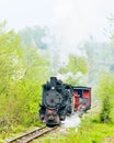 Steam train Royalty Free Stock Photo
