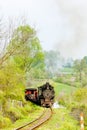 Steam train Royalty Free Stock Photo