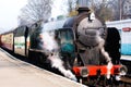 Steam train Royalty Free Stock Photo