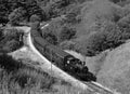 Steam Train in Bronte Country Royalty Free Stock Photo