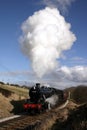 Steam Train in Bronte Country Royalty Free Stock Photo