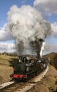 Steam Train in Bronte Country Royalty Free Stock Photo