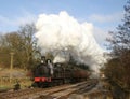 Steam Train in Bronte Country Royalty Free Stock Photo