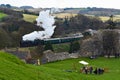 Steam Train at Corfe Castle, Dorset, England