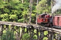 Steam train driving over wooden bridge through forest Royalty Free Stock Photo