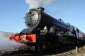Steam train engine Royalty Free Stock Photo