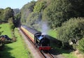 Steam train on Lakeside and Haverthwaite railway