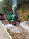 Steam Train locomotion railway Australia