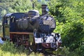 Steam Train Royalty Free Stock Photo