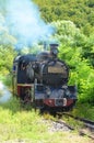 Steam Train Royalty Free Stock Photo