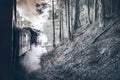 Steam train ride Royalty Free Stock Photo
