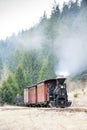 Parný vlak, Slovensko