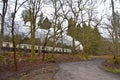 A Steam Train Speeding Through The Trees